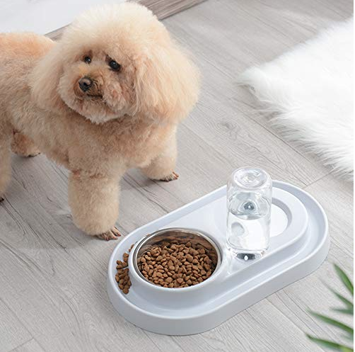 Stainless Steel Pet Bowls with Automatic Water Bottle - 2 in 1 Feeding Station