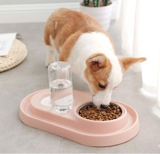 Stainless Steel Pet Bowls with Automatic Water Bottle - 2 in 1 Feeding Station