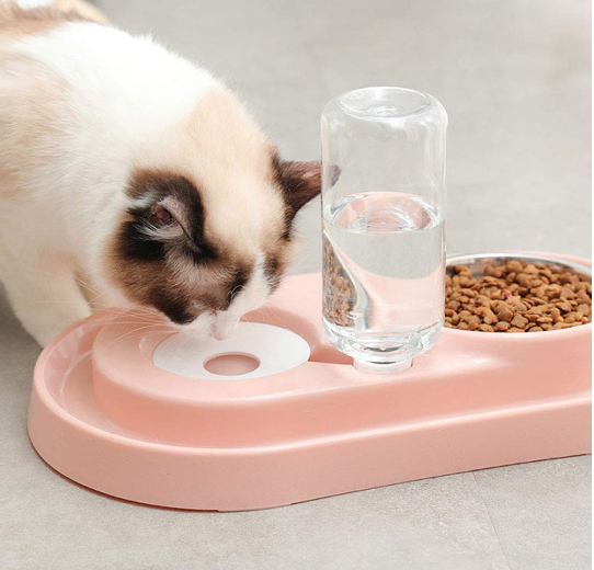 Stainless Steel Pet Bowls with Automatic Water Bottle - 2 in 1 Feeding Station